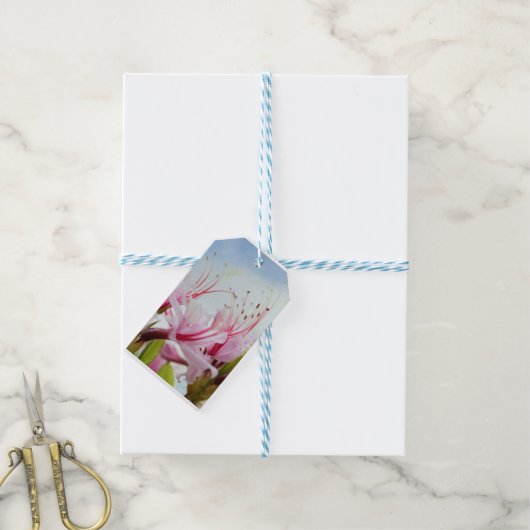 Wilde Azalea Blüten Geschenkanhänger (Mit Garn)