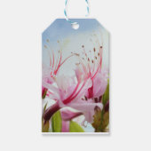 Wilde Azalea Blüten Geschenkanhänger (Vorderseite)