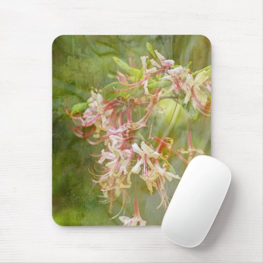 Wilde Azaleenblüten = Springtime Mousepad (Mit Mouse)