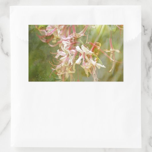 Wilde Azaleenblüten = Springtime Rechteckiger Aufkleber (Tasche)