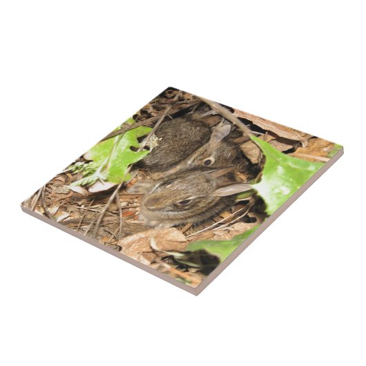 Wilde Baby-Häschen Fliese (Seite)