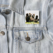 Wilde Bären Button (Beispiel)