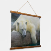 Wilde Bären - Naturpolarbär Wandteppich Mit Holzrahmen (Gewinkelt)
