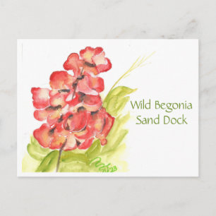 Wilde Begonie Postkarte