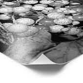 Wilde Berries in Schwarz und Weiß 8x10 Fotodruck (Ecke)