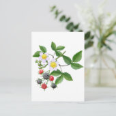 Wilde BlackBerry Postkarte (Stehend Vorderseite)