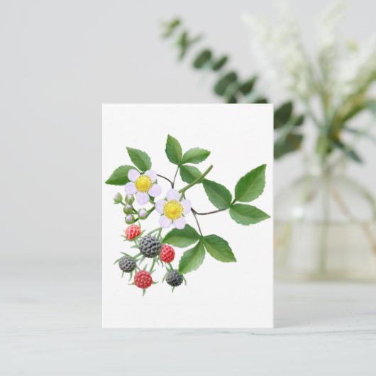 Wilde BlackBerry Postkarte (Stehend Vorderseite)