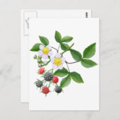 Wilde BlackBerry Postkarte (Vorne/Hinten)