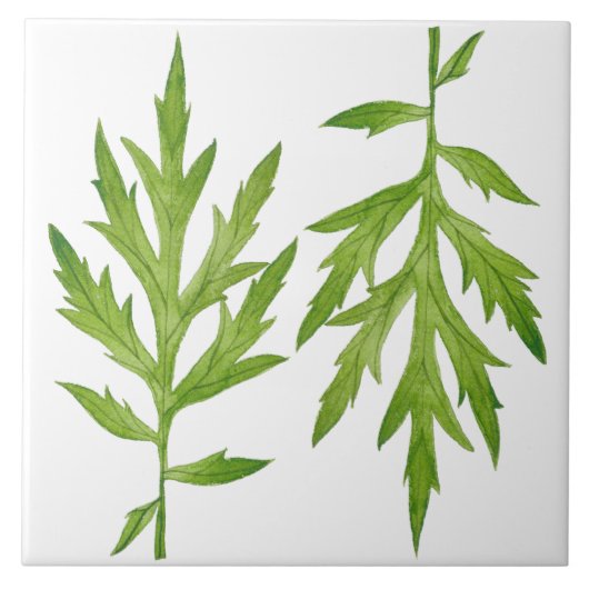 Wilde Blätter auf einer Keramik (2) Fliese (Vorderseite)