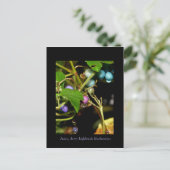 Wilde Blaubeeren Postkarte (Stehend Vorderseite)