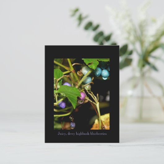 Wilde Blaubeeren Postkarte (Stehend Vorderseite)
