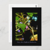 Wilde Blaubeeren Postkarte (Vorne/Hinten)