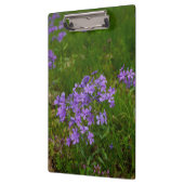 Wilde Blaue Phlox Klemmbrett (Links)