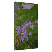 Wilde Blaue Phlox Klemmbrett (Rechts)