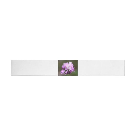 Wilde Blume (Person)