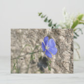 Wilde Blume (Stehend Vorderseite)