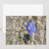 Wilde Blume (Vorne/Hinten)
