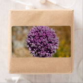 Wilde Blume (Insitu)