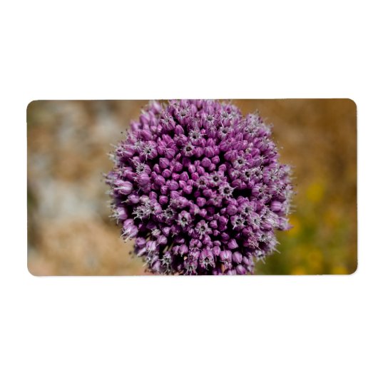 Wilde Blume (Vorne)