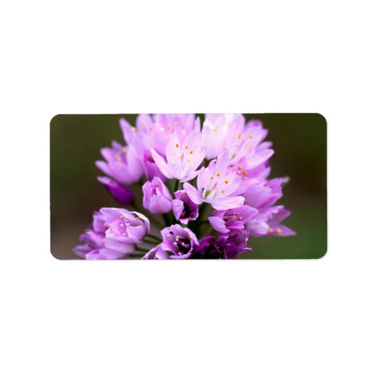 Wilde Blume Adressaufkleber (Vorne)
