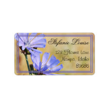 Wilde Blume am Morgen