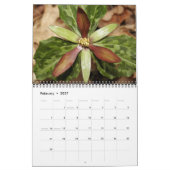 Wilde Blume, auf dem Ocmulgee Trail Kalender (Feb 2027)