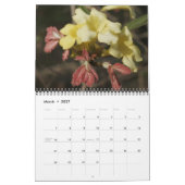 Wilde Blume, auf dem Ocmulgee Trail Kalender (Mär 2027)