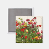 Wilde Blume auf grünem Feld Magnet (Vorderseite/Rückseite)