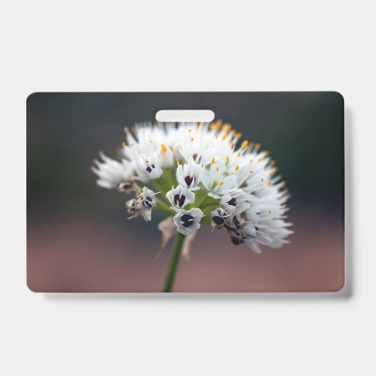 Wilde Blume Ausweis (Vorderseite)