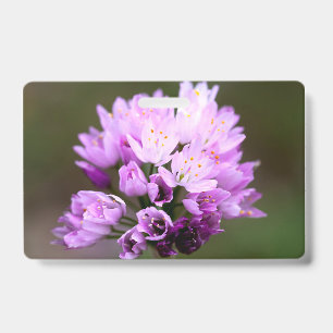 Wilde Blume Ausweis