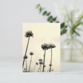 Wilde Blume (B&W) Postkarte (Stehend Vorderseite)