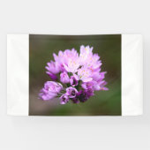 Wilde Blume Banner (Horizontal)