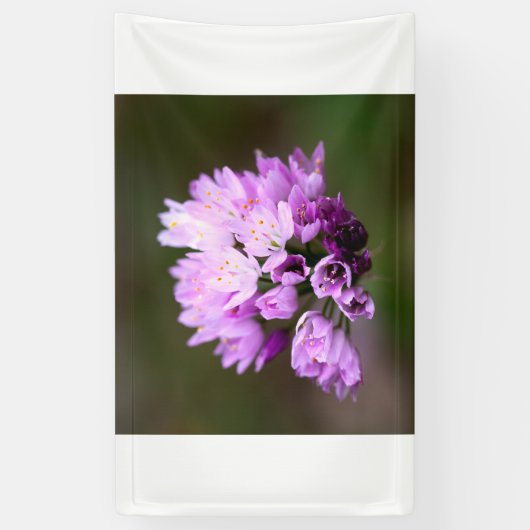 Wilde Blume Banner (Vertikal)