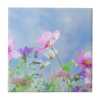 Wilde Blume Blue Sky