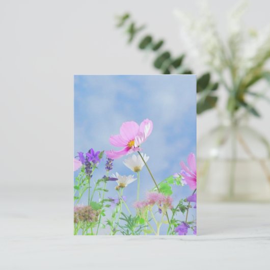 Wilde Blume Blue Sky Postkarte (Stehend Vorderseite)