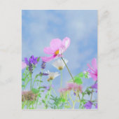 Wilde Blume Blue Sky Postkarte (Vorderseite)