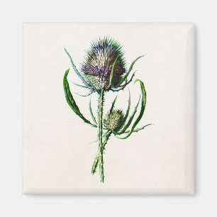 Wilde Blume der Vintagen alten schottischen Magnet