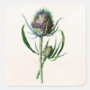 Wilde Blume der Vintagen alten schottischen Quadratischer Aufkleber