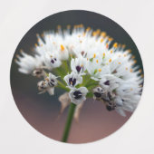 Wilde Blume Etiketten (Design 1)
