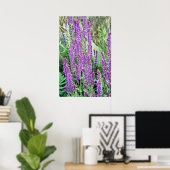 Wilde Blume Felder lila Salvia Rumänien Poster (Heimbüro)
