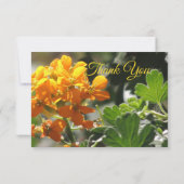 Wilde Blume Flat Danke Karte (Rückseite)