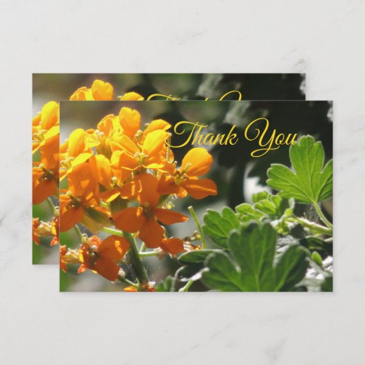 Wilde Blume Flat Danke Karte (Vorne/Hinten)