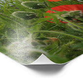 Wilde Blume Fotodruck (Ecke)