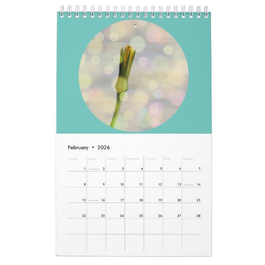 Wilde Blume Fotografie Kalender (Feb 2026)