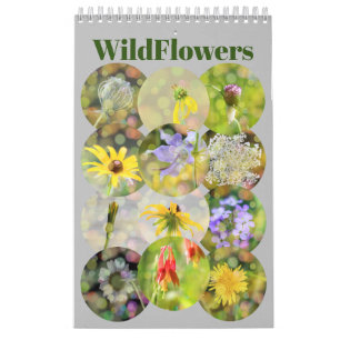 Wilde Blume Fotografie Kalender