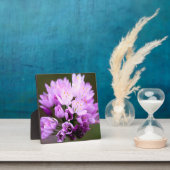 Wilde Blume Fotoplatte (InSitu)