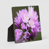 Wilde Blume Fotoplatte (Vorderseite)