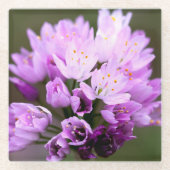 Wilde Blume Glasuntersetzer (Vorderseite)