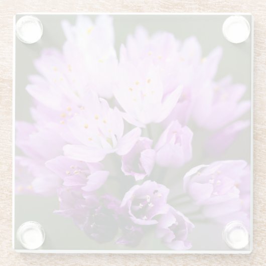 Wilde Blume Glasuntersetzer (Rückseite)