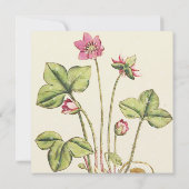 Wilde Blume grün und rosa Einladungen (Rückseite)